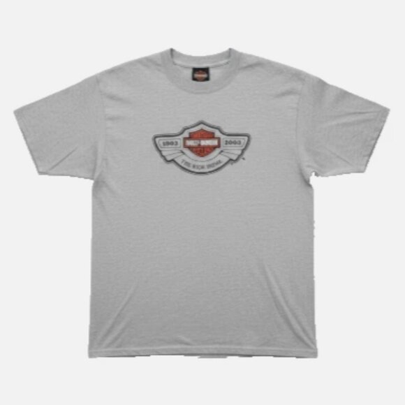 Harley-Davidson Other - Harley-Davidson Men's T-Shirt Size L 100th Anniversary  Gray Short Sleeve EUC